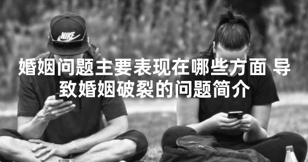 婚姻问题主要表现在哪些方面 导致婚姻破裂的问题简
